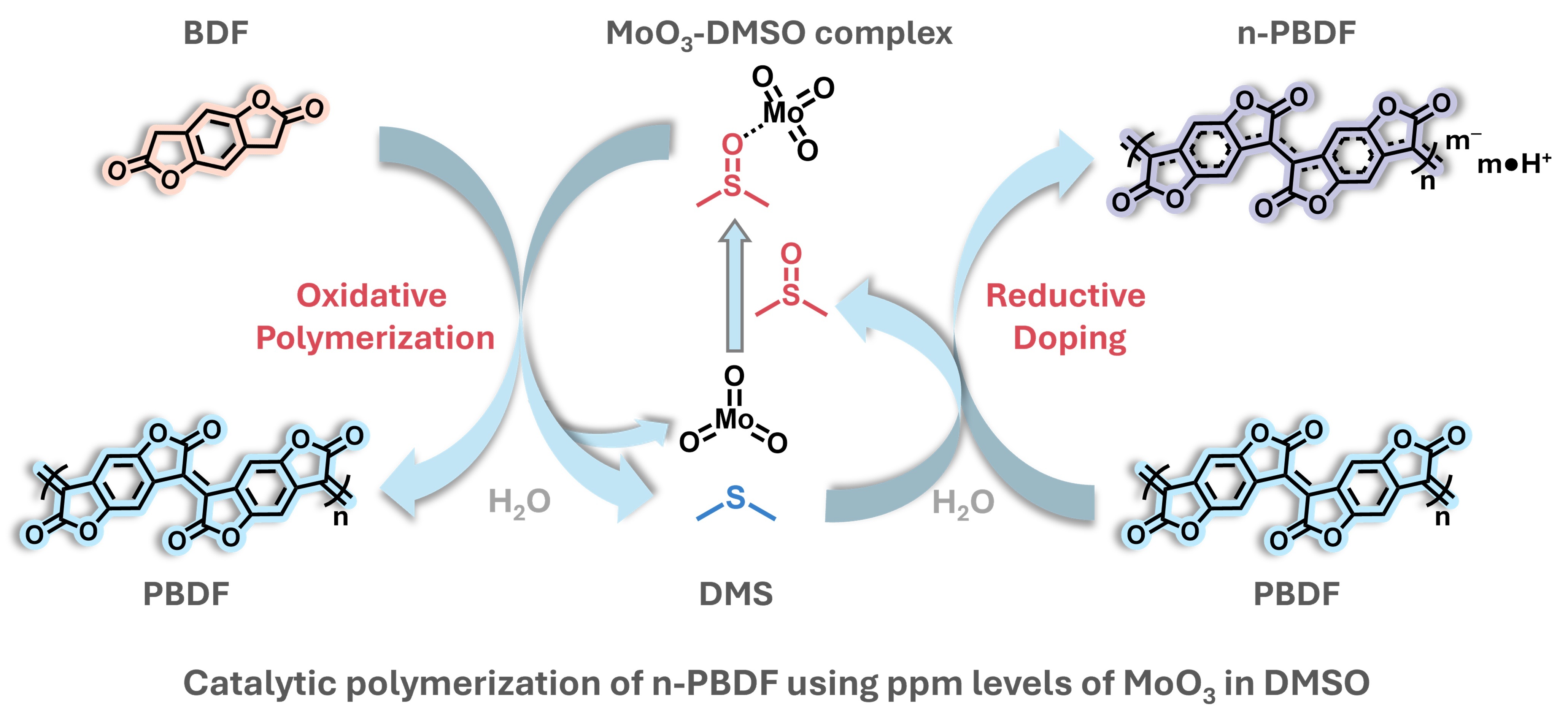 TOC-MoO3-DMSO